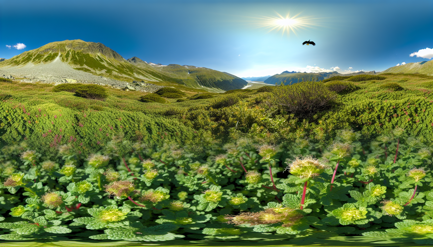 Die gefährliche Süße: Zuckeralkohole im Kreuzfeuer der Forschung