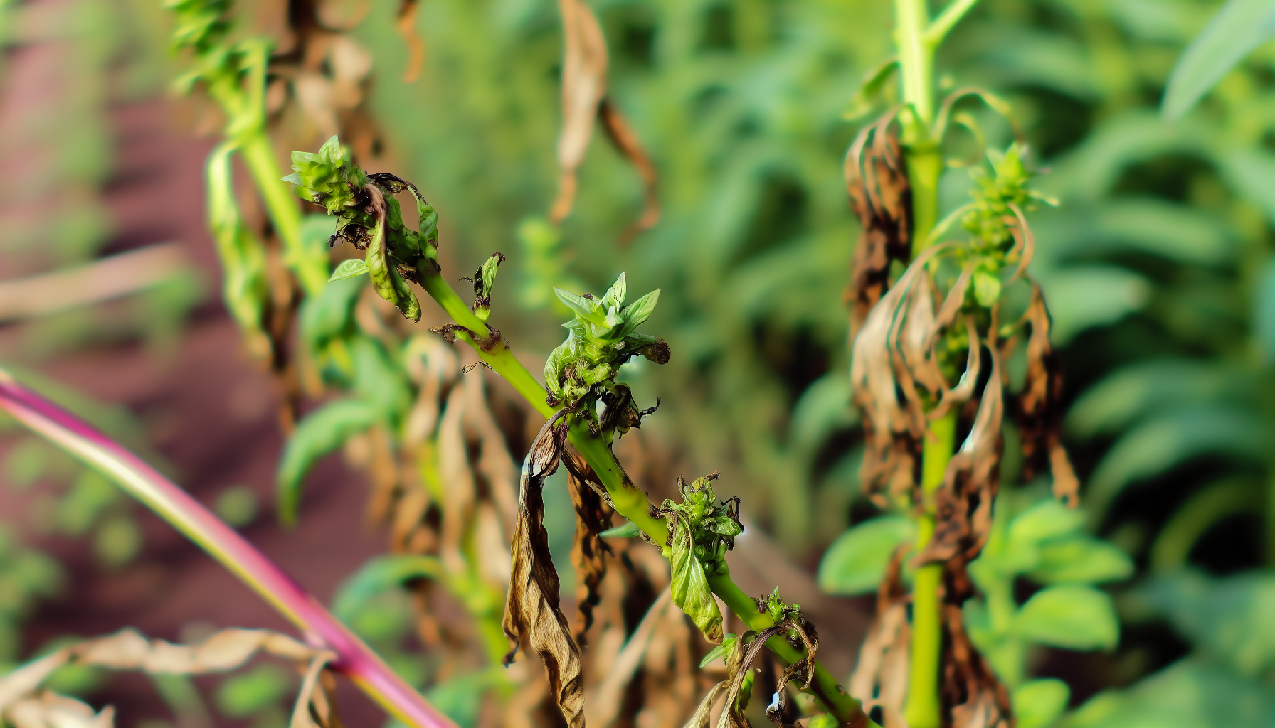 Yin Yoga unter Klangzauber: Finde dein inneres Gleichgewicht auf Langeoog